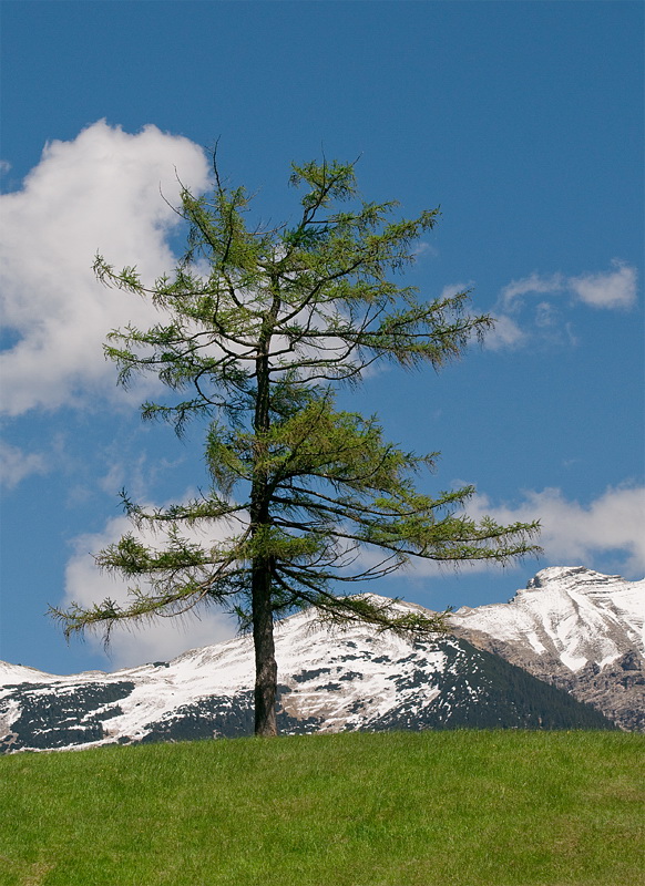 LandSüdtirol D35_5010 als Smart-Objekt-1 Kopie.jpg - Von Krün aus kann man sehr viele unterschiedlicheTouren in die umliegenden Berge machen und immer neue Ansichten genießen